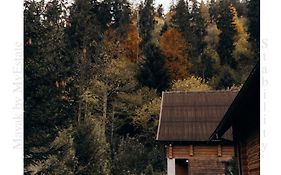 Mayak Chalet Resort Mykulychyn